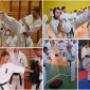 Bydgoska Szkoła Kyokushin Karate