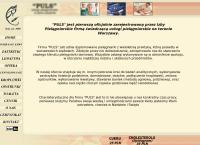 Usługi Pielęgniarskie Puls
