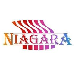 Pralnia Niagara Anna Gryka