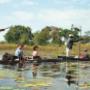 afryka safari