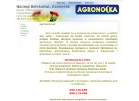 Strona internetowa z Agronocka