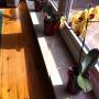 Parapet z marmuru.