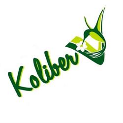 Koliber. Gabinet Weterynaryjny