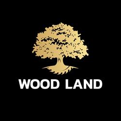 Woodland. Monika Salamon