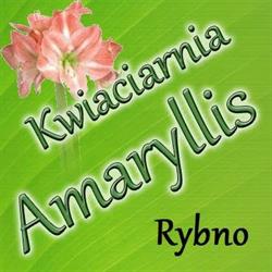 Amaryllis Kwiaciarnia Marek Wilbrandt