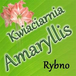 Amaryllis Kwiaciarnia Marek Wilbrandt