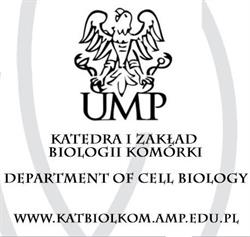 Uniwersytet Medyczny im. K. Marcinkowskiego Wydział Lekarski I Katedra Immunologii Klinicznej