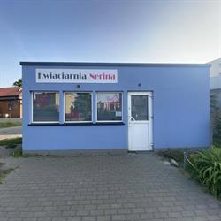 Kwiaciarnia Nerina. Monika Sitek