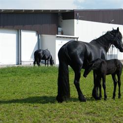 Agro Jet Sp. z o.o.