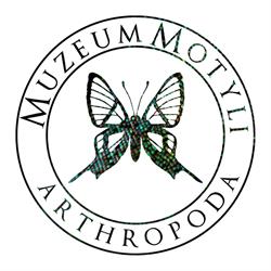Arthropoda. Muzeum Motyli