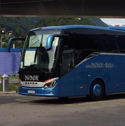 Dudek-Bus Firma Produkcyjno-Usługowo-Handlowa Przewozy Autokarowe Grzegorz Dudkiewicz