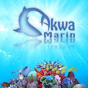 Akwa Marin Olivier Ossywa