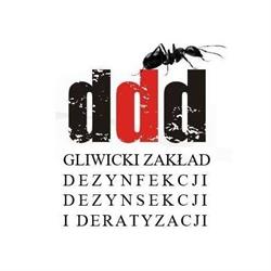 Gliwicki Zakład DDD Krzysztof Kuszka