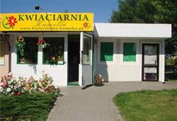 Kwiaciarnia Kamelia. Beata Jędrzejewska