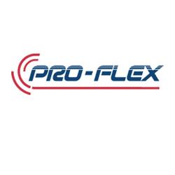 Pro Flex S.a.