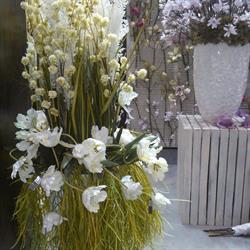 Secret Garden