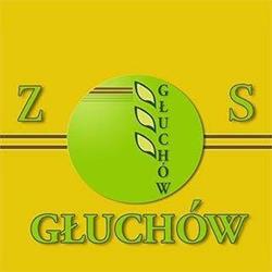Zespół Szkół Ponadgimnazjalnych w Głuchowie