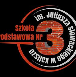 Szkoła Podstawowa Nr 3