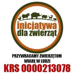 "inicjatywa Dla Zwierząt"