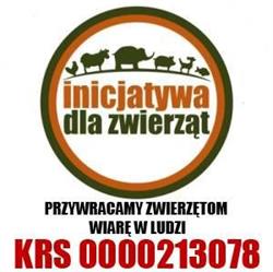 "inicjatywa Dla Zwierząt"
