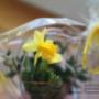 Dodane przez klienta firmy 2.04.2016