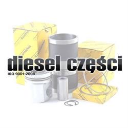 Diesel-Części Małgorzata Wołodko
