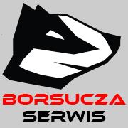 Borsucza Serwis. Bartłomiej Łukaszewicz