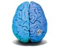 EEG-Biofeedback