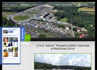 Strona internetowa z F.h.u. Salmar