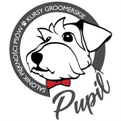 Psi Fryzjer \"pupil\"