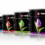 Tikkurila
