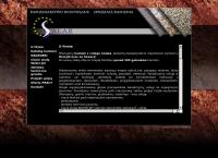 Strona internetowa z Salar