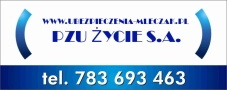 Pzu Życie Agent Ubezpieczeniowy Emil Mleczak