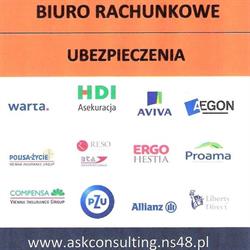 ASK Consulting Group