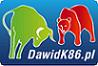 Dawidk86 Szkolenia i Analizy Giełdowe Dawid Kowalski