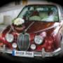 Jaguar Mark IV rp