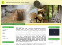 Strona internetowa z Green-Star SP Z O.o.