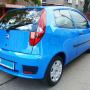 polerowane Punto