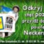 wakacje na wesoło