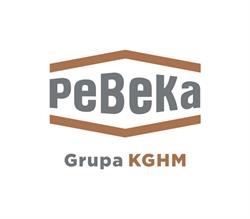 Pebeka S.A. Przedsiębiorstwo budowy kopalń