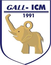 Gall-Icm m. i I.majcher Spólka Jawna