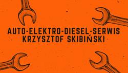 Auto Elektro Diesel Serwis Krzysztof Skibiński