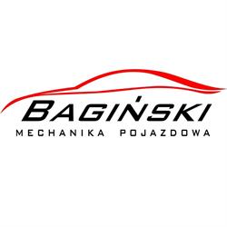 Mechanika Pojazdowa Bagiński Marcin