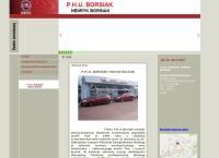 Strona internetowa z P.h.u. Borsiak