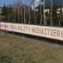 rolety moskitiera moskitiery krosno
