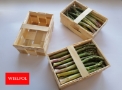Wielpol - producent opakowań