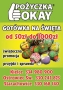 Pozyczka Okay