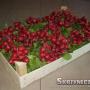 Skrzynki drewniane