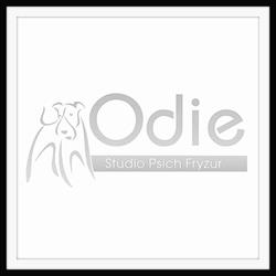 Odie Studio Psich Fryzur