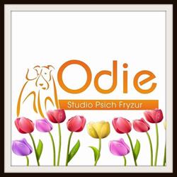 Odie Studio Psich Fryzur